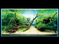 /album/aquarios-plantados/aquario-plantado-tronco-e-planta-copia-jpg/